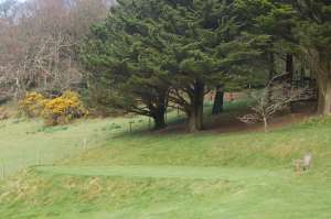 Seat in the grounds of Lee Abbey