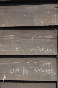 3 weeks until Easter