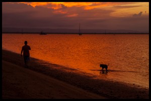 Following the leader in sunset reflection